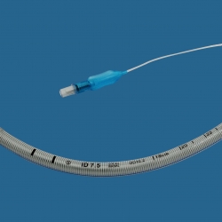  - jalisco, guadalajara