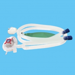  - guadalajara,jalisco