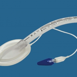  - guadalajara,zapopan