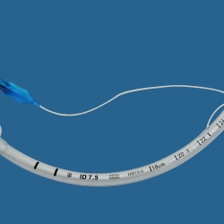  - zapopan, guadalajara